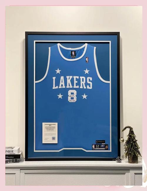 nba穿过8号球衣球星都有哪些,nba穿过8号球衣球星都有哪些啊-第4张图片-无暮网