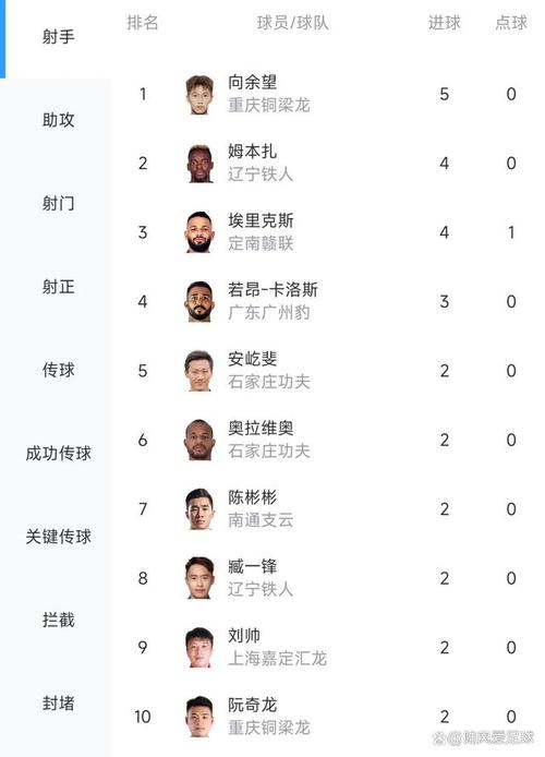 足球射手榜,足球射手榜表格模板
