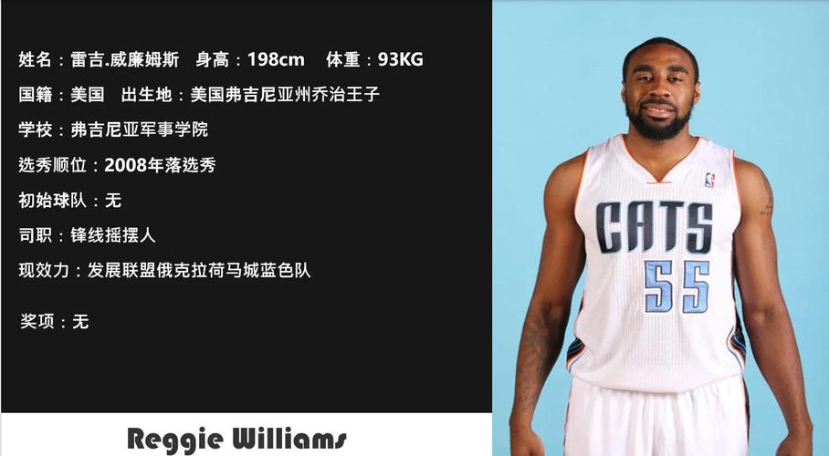 山猫黄蜂鹈鹕的关系,山猫 鹈鹕 黄蜂-第7张图片-无暮网 山猫黄蜂鹈鹕的关系,山猫 鹈鹕 黄蜂-第7张图片-无暮网