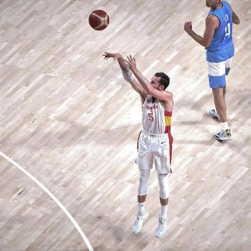 鲁迪费尔南德斯为什么不打nba了(鲁迪费尔南德斯什么水平)-第6张图片-无暮网 鲁迪费尔南德斯为什么不打nba了(鲁迪费尔南德斯什么水平)-第6张图片-无暮网