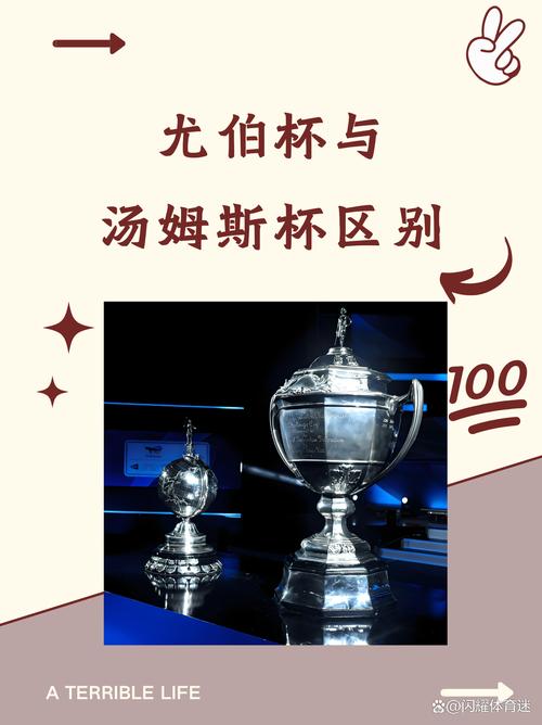汤姆斯杯是什么比赛的奖杯（汤姆斯杯介绍）-第4张图片-无暮网