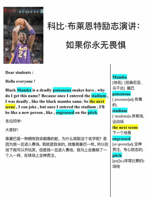 科比死亡是否阴谋（科比死亡是否阴谋的）-第4张图片-无暮网