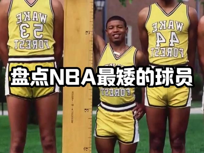 nba各队最矮身高(nba现役球员最矮身高)-第2张图片-无暮网 nba各队最矮身高(nba现役球员最矮身高)-第2张图片-无暮网