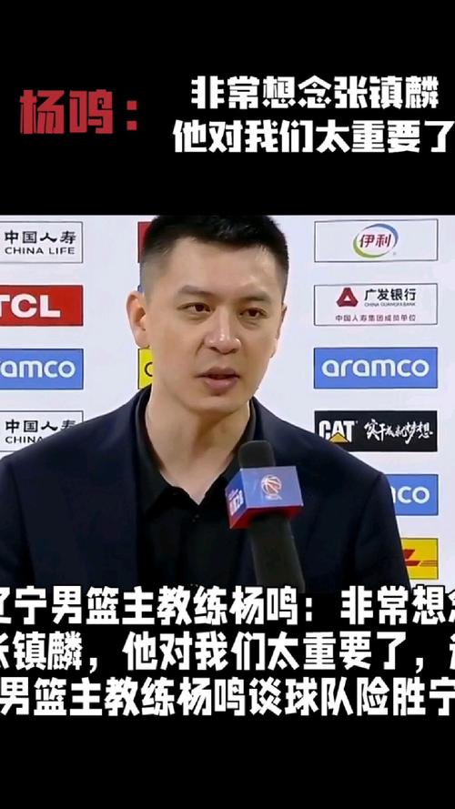 辽宁男篮的总冠军,辽宁男篮总冠军旗帜-第5张图片-无暮网 辽宁男篮的总冠军,辽宁男篮总冠军旗帜-第5张图片-无暮网