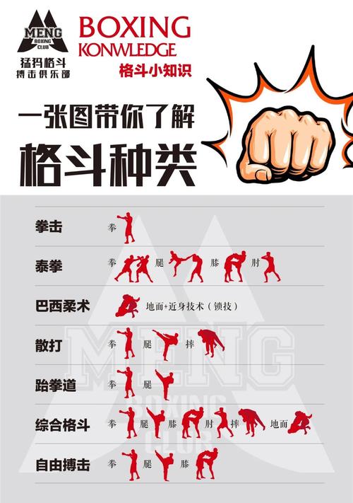 巴西柔术和跆拳道哪个厉害（巴西柔术和跆拳道哪个更适合小孩子）-第5张图片-无暮网