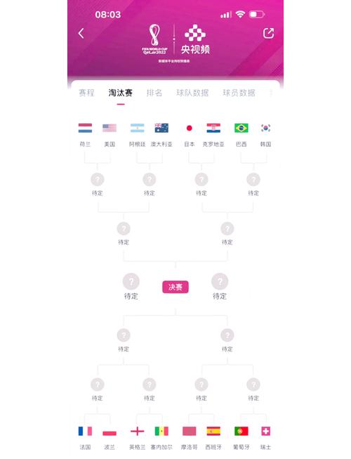 卡塔尔世界杯对阵表,卡塔尔世界杯对阵表预测-第4张图片-无暮网