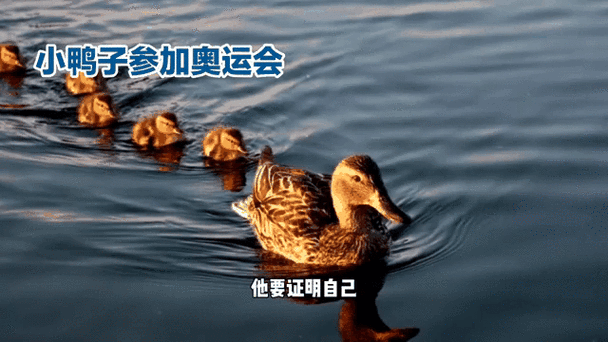 中国开奥运会是哪里点火,中国开奥运会的时间地点-第5张图片-无暮网 中国开奥运会是哪里点火,中国开奥运会的时间地点-第5张图片-无暮网