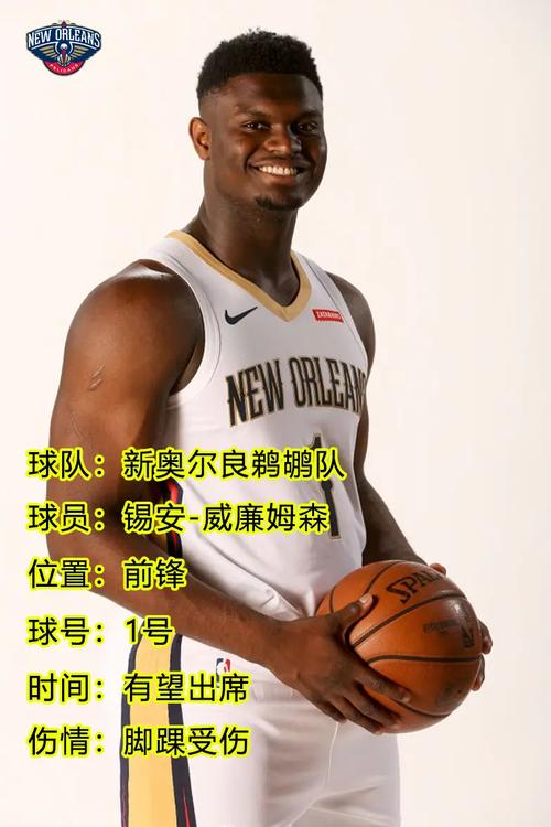 鹈鹕阵容新赛季(鹈鹕首发阵容2021)-第4张图片-无暮网 鹈鹕阵容新赛季(鹈鹕首发阵容2021)-第4张图片-无暮网