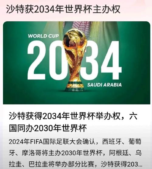 2030世界杯在哪里举办（2030世界杯申办时间）-第1张图片-无暮网