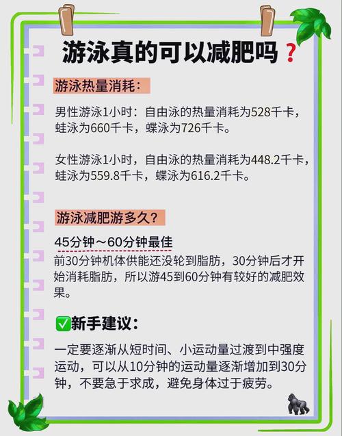 游泳能减肥吗,游泳能减肥吗肚子能变小吗-第4张图片-无暮网 游泳能减肥吗,游泳能减肥吗肚子能变小吗-第4张图片-无暮网