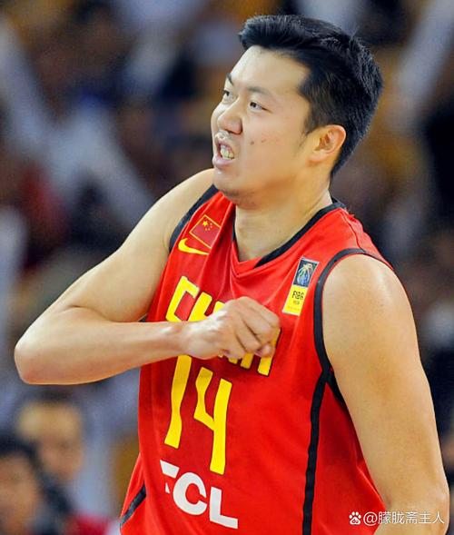 王治郅什么时候退役(王治郅什么时候去的nba)-第5张图片-无暮网 王治郅什么时候退役(王治郅什么时候去的nba)-第5张图片-无暮网