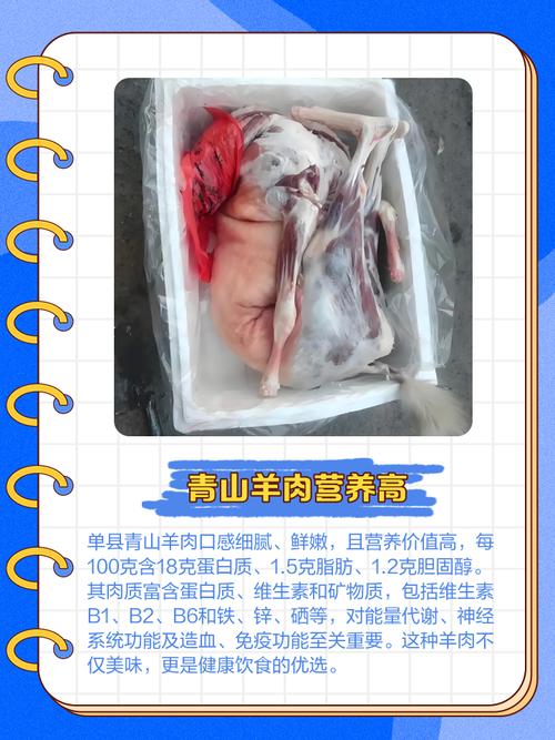 康利达公司简介,康利达投资集团怎么样-第3张图片-无暮网