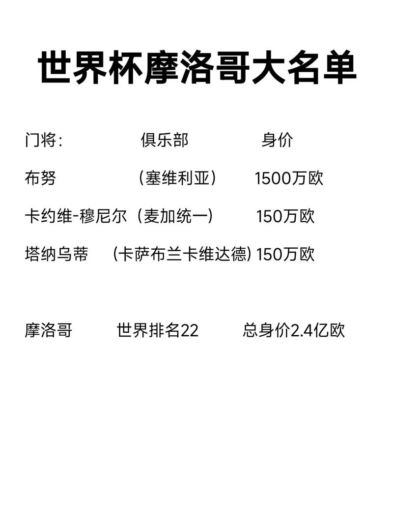 摩洛哥世界杯首发,摩洛哥世俱杯-第4张图片-无暮网