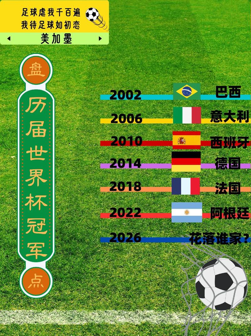 2002世界杯所有赛果,2002年世界杯回顾-第6张图片-无暮网