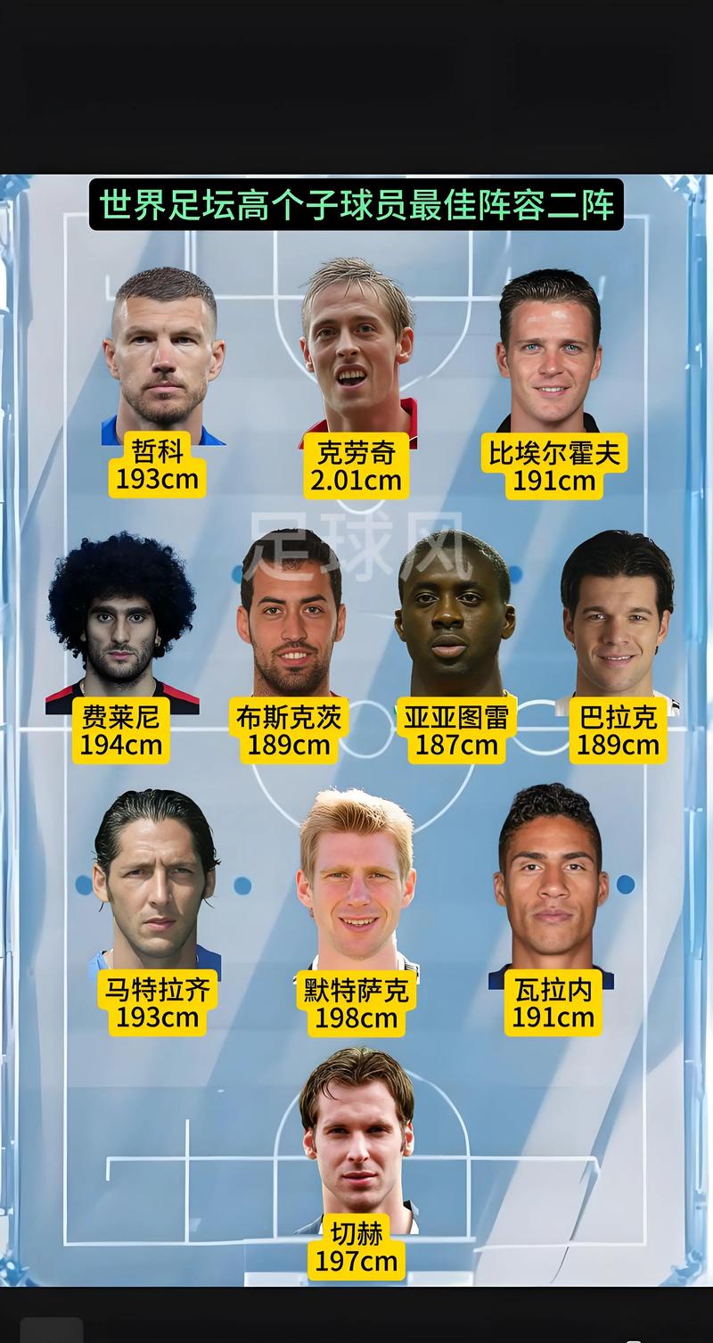 fifa足球世界身高排名（fifa足球世界身价榜）