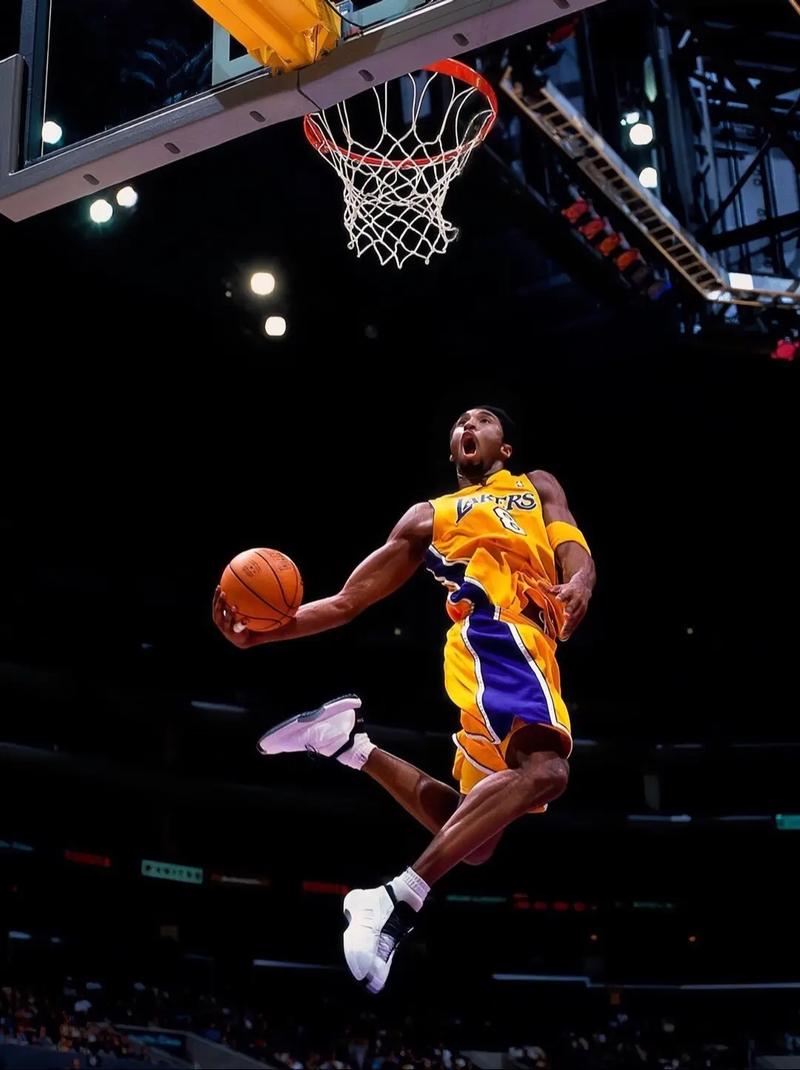 nba扣篮数量排名前三十,nba扣篮榜最新排名-第5张图片-无暮网 nba扣篮数量排名前三十,nba扣篮榜最新排名-第5张图片-无暮网