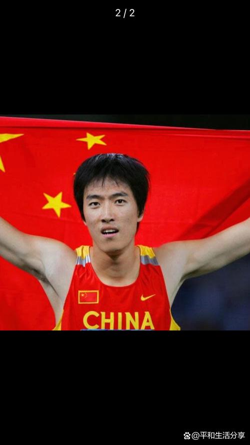 刘翔参加的奥运项目是什么（刘翔参加了北京奥运会吗）