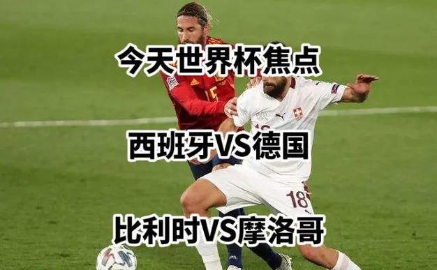 南非世界杯半决赛西班牙与德国对战中进了几个球（南非世界杯 西班牙德国）-第7张图片-无暮网