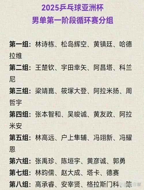 中国历届男乒乓球队员（历代中国男乒）-第4张图片-无暮网